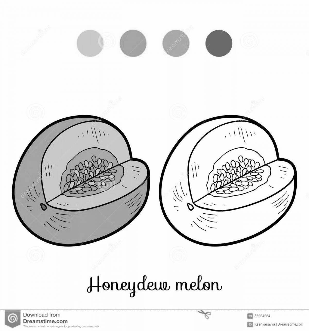 Adorable melon coloring book for kids