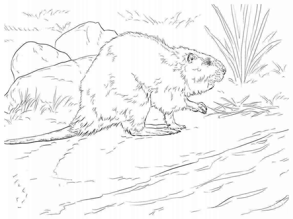 Fun beaver coloring for kids
