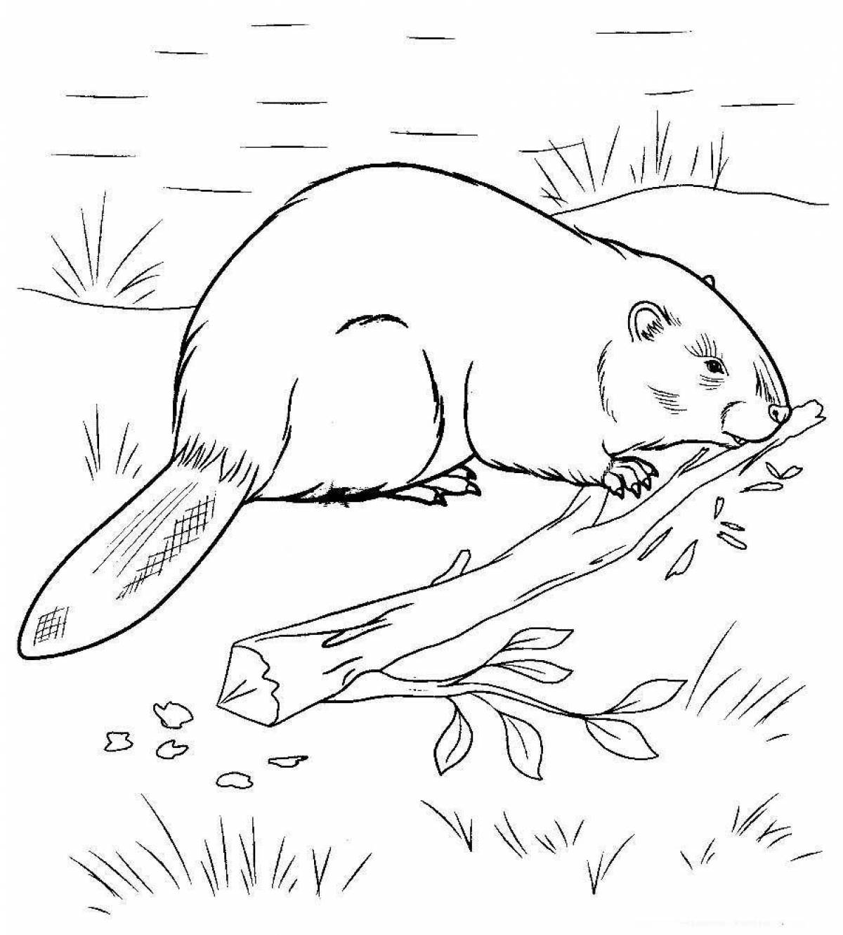 Colorful beaver coloring page for kids
