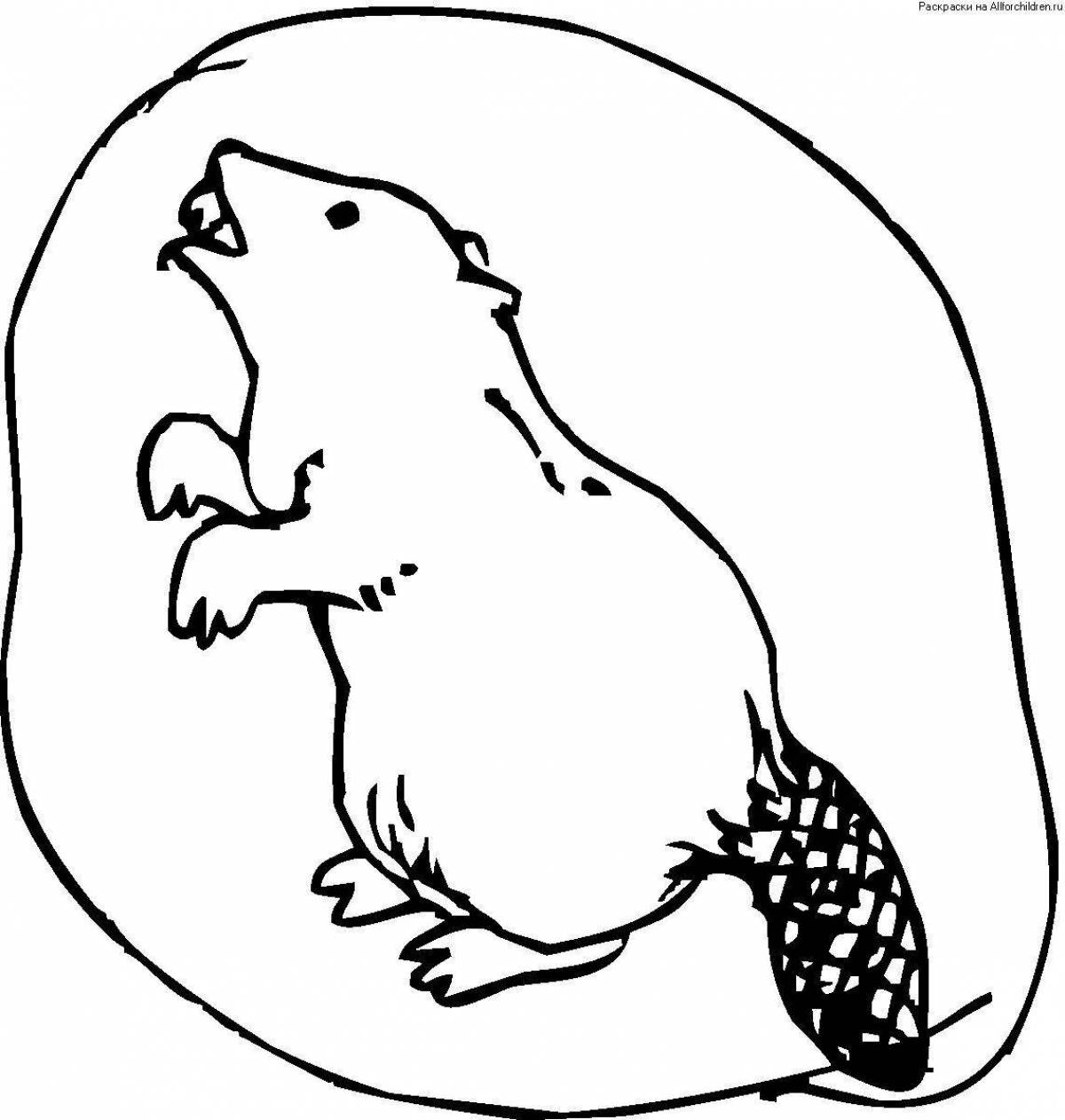 Children's beaver coloring pages
