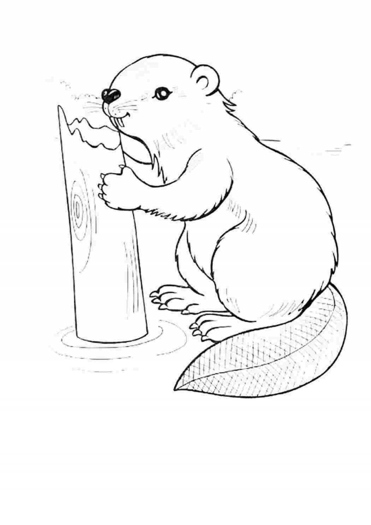 A fun beaver coloring book for kids