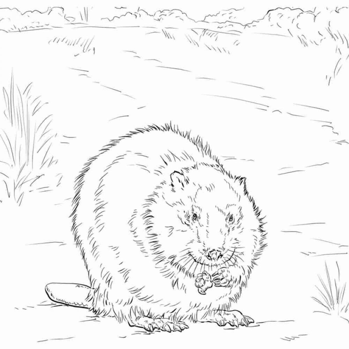 Fabulous beaver coloring pages for kids