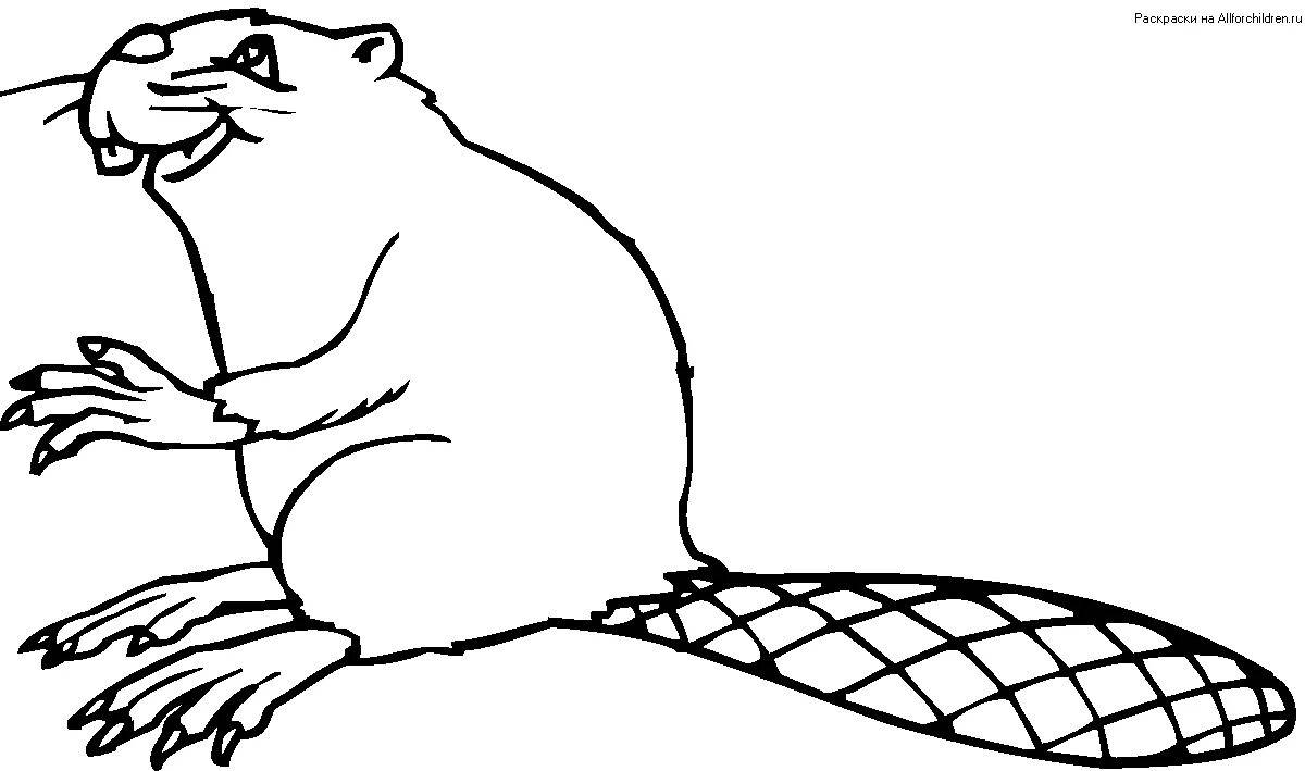 Бобер для детей #5