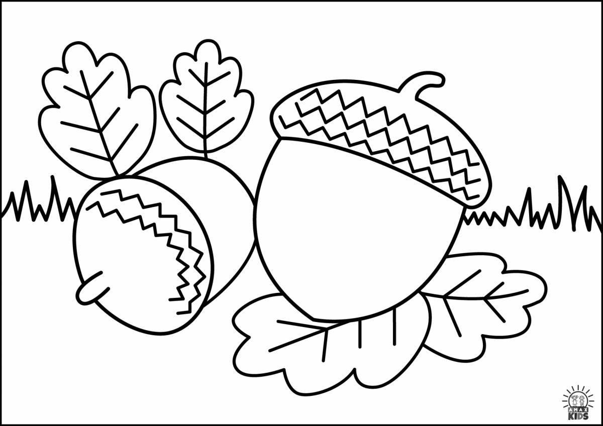 Colourful acorn coloring book for kids