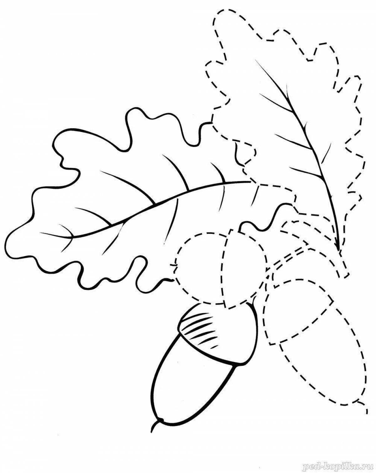 Great acorn coloring book for kids