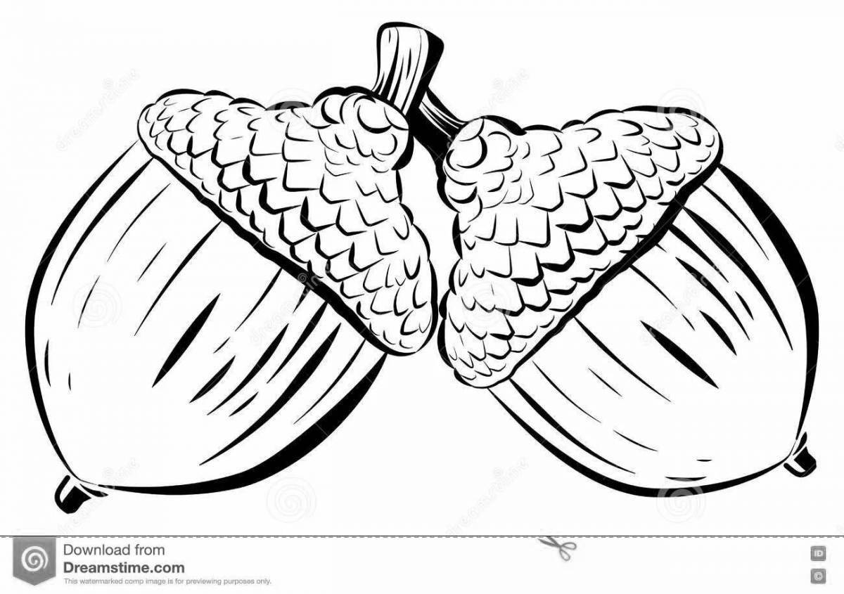 Удивительная страница раскраски желудь для детей