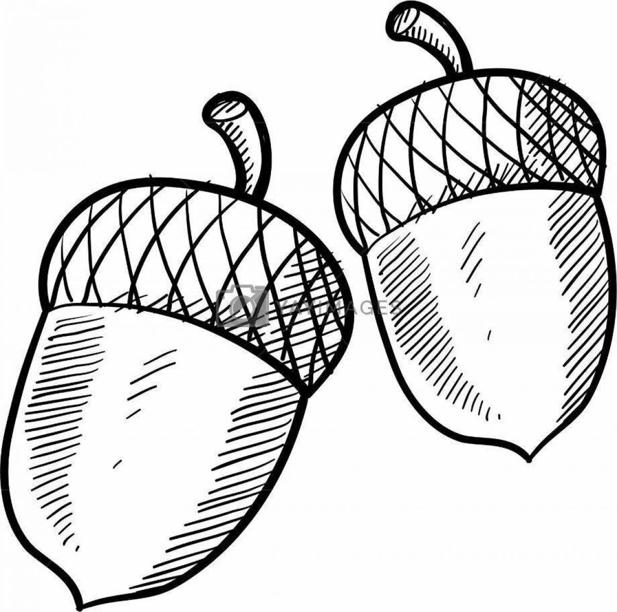 Lovely acorn coloring book for kids