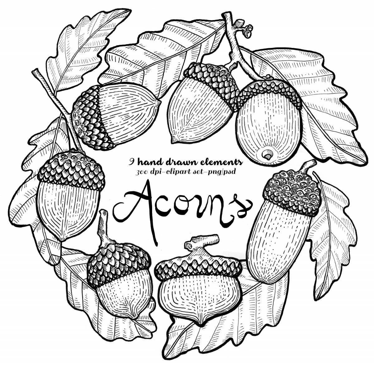 Cute acorn coloring page for kids