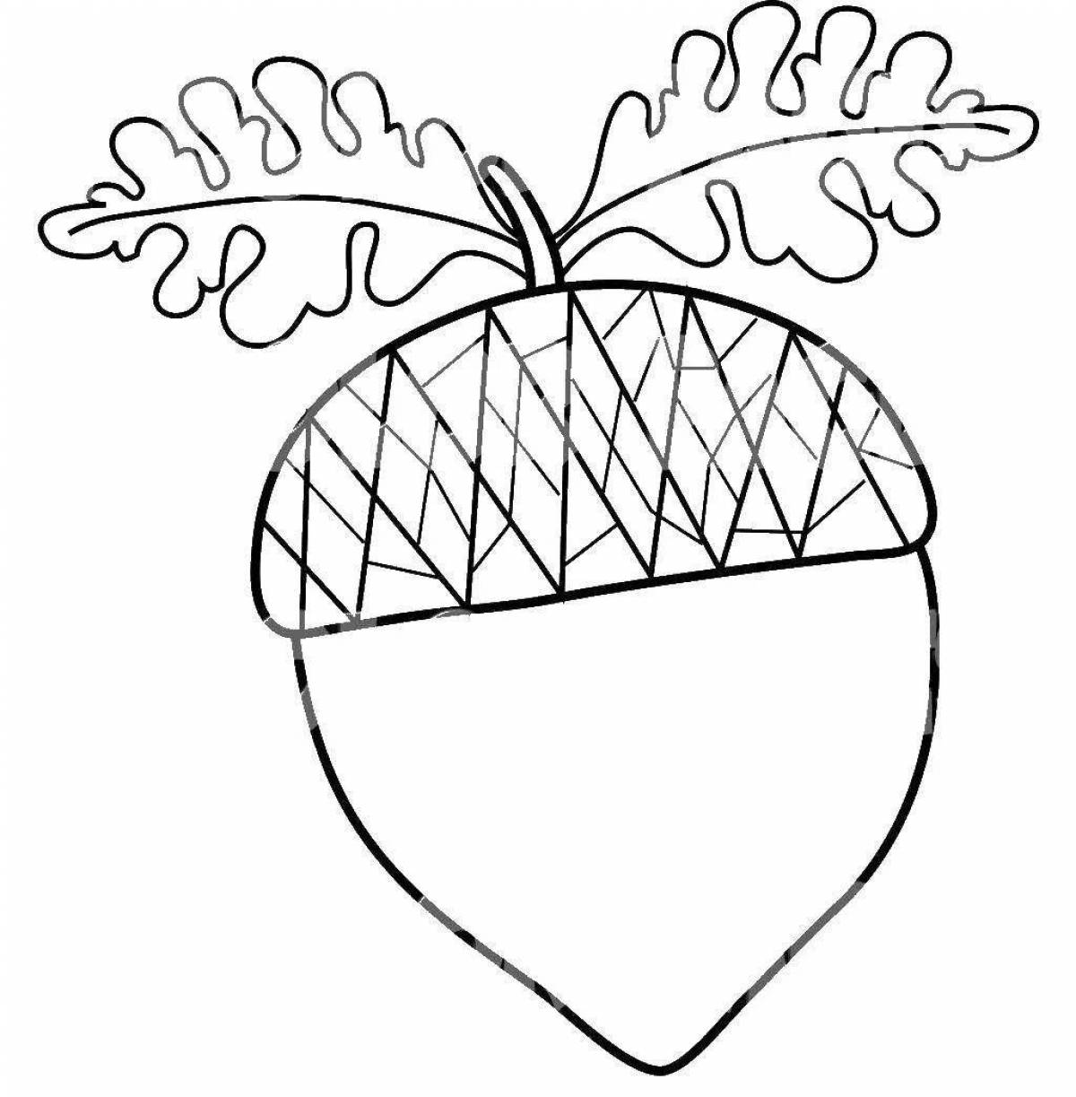 Exquisite acorn coloring book for kids