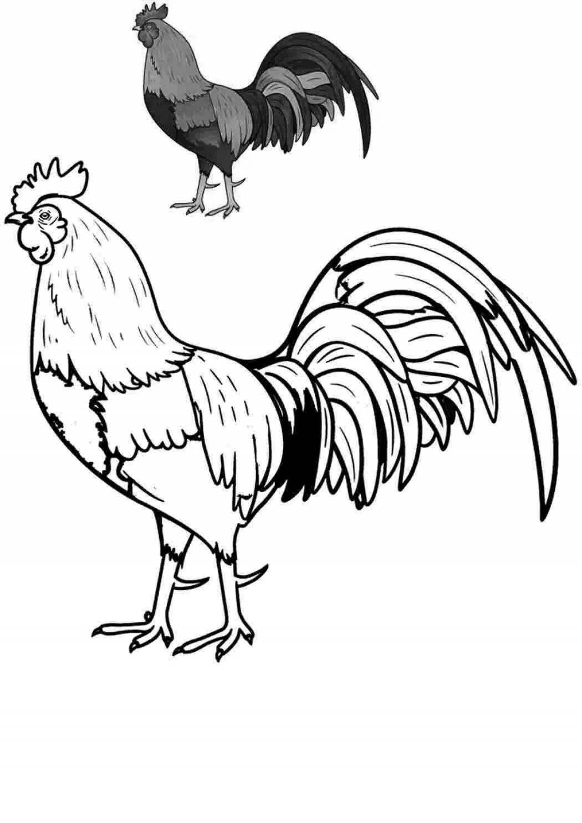 Coloring playful rooster for children