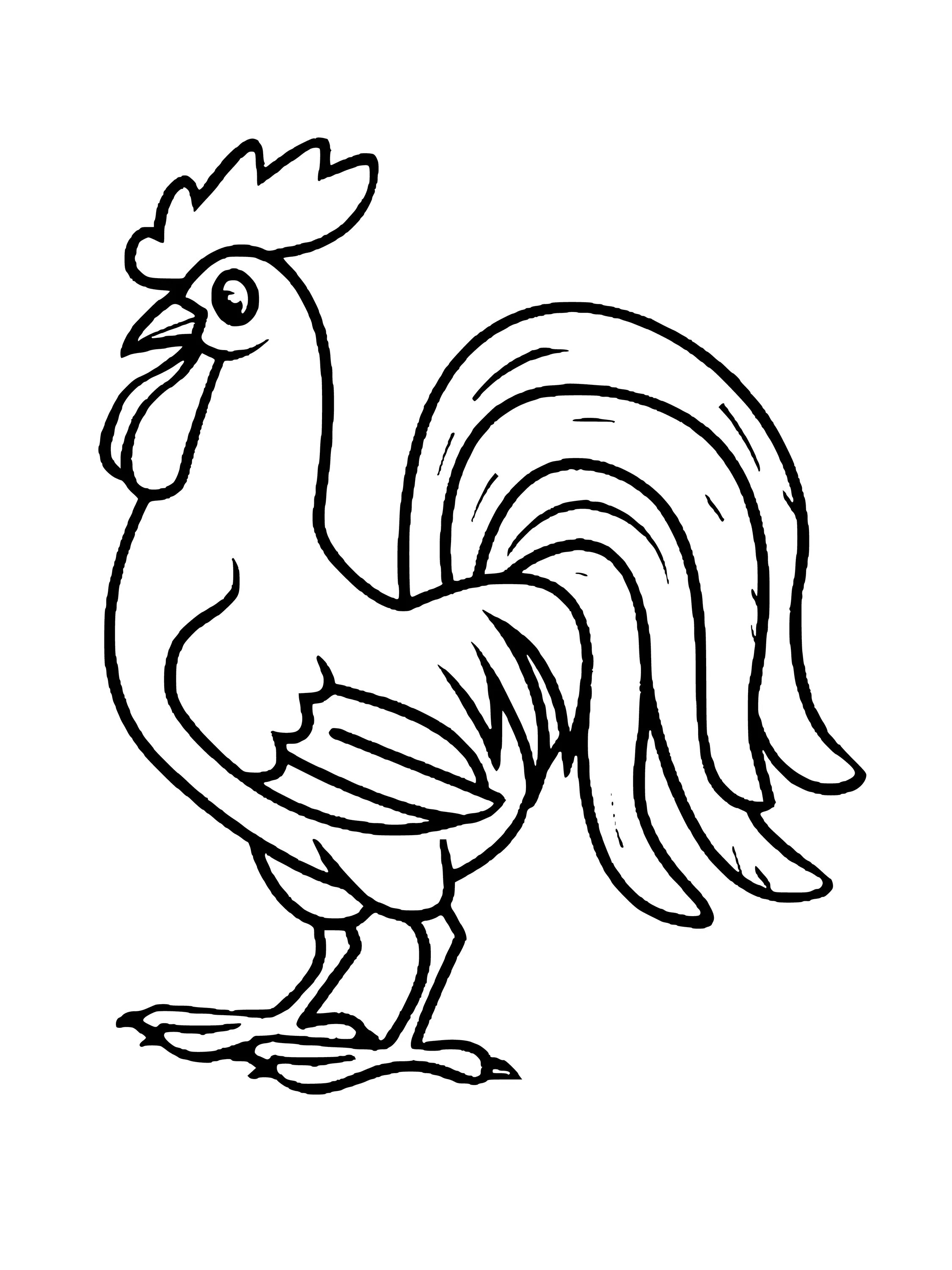Coloring book glowing rooster for kids