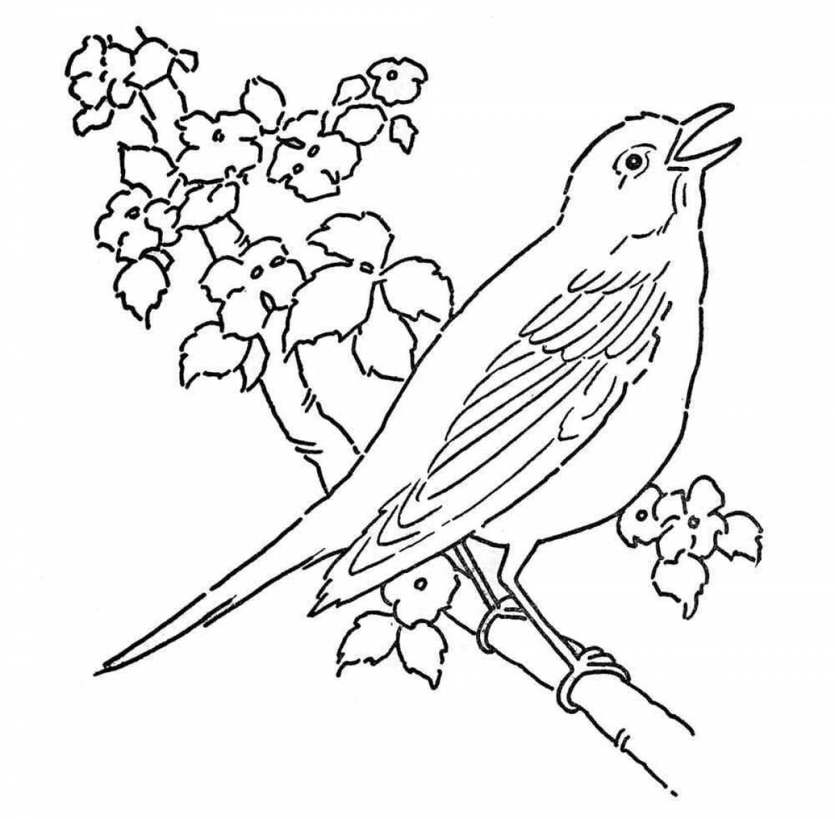 Adorable nightingale coloring book for kids
