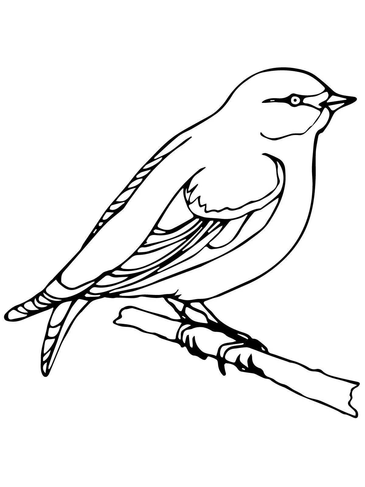 Coloring book bright nightingale for children