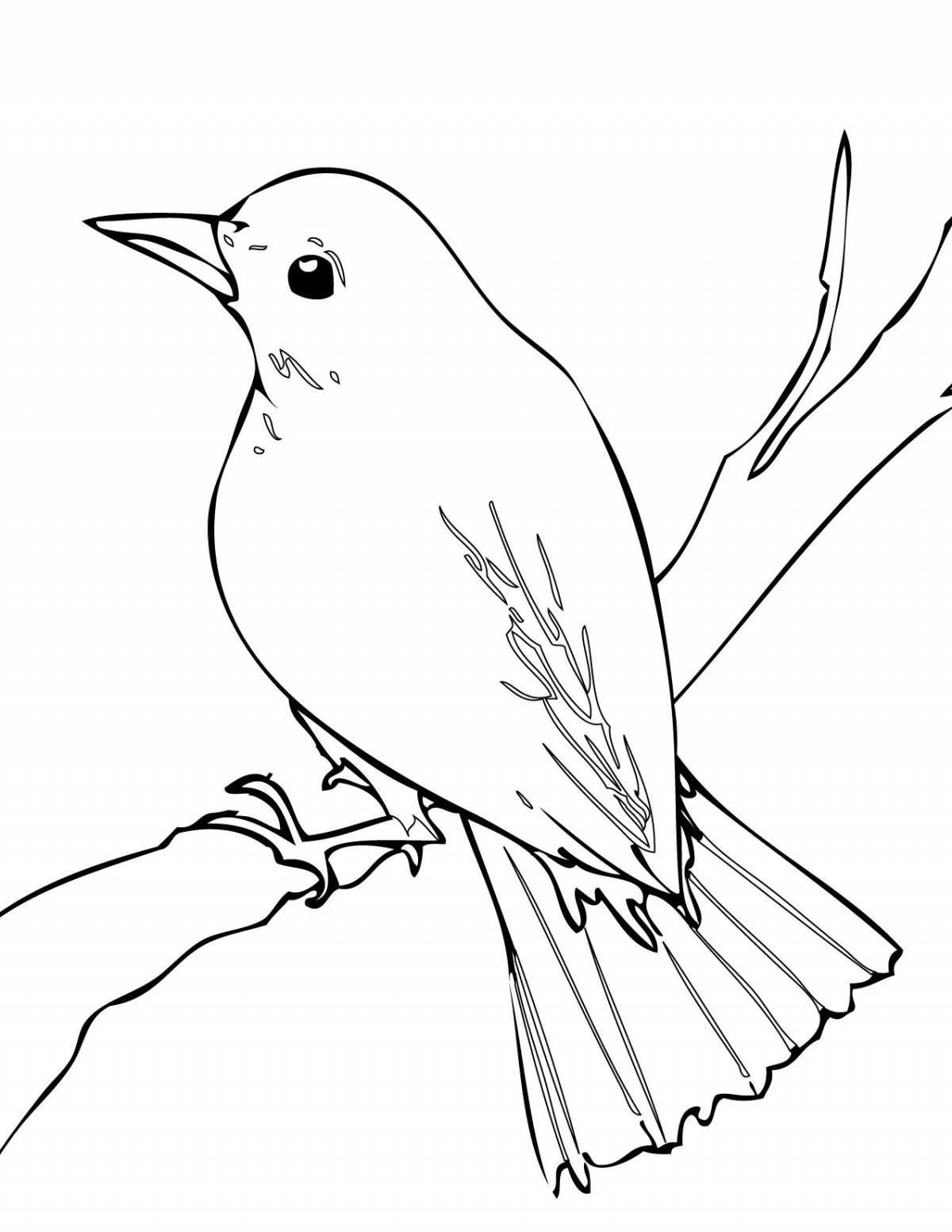 Playful nightingale coloring book for kids