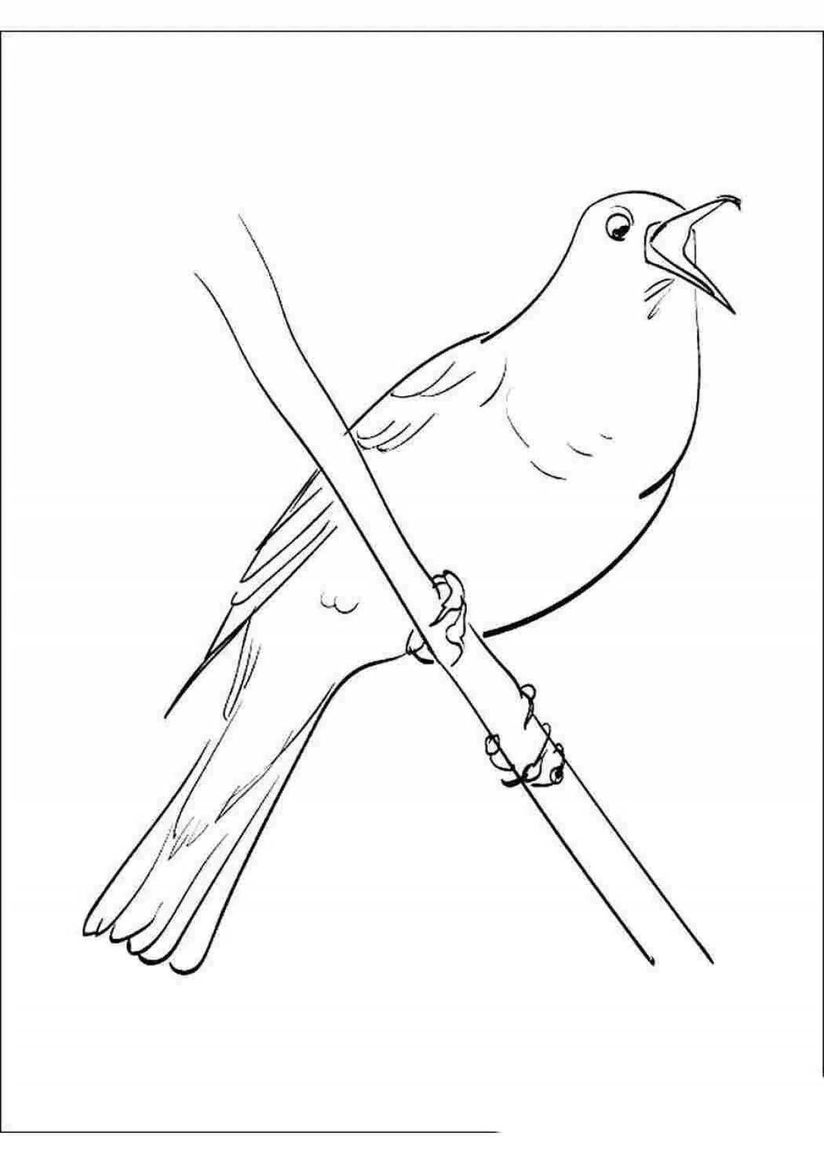 Exquisite nightingale coloring book for kids