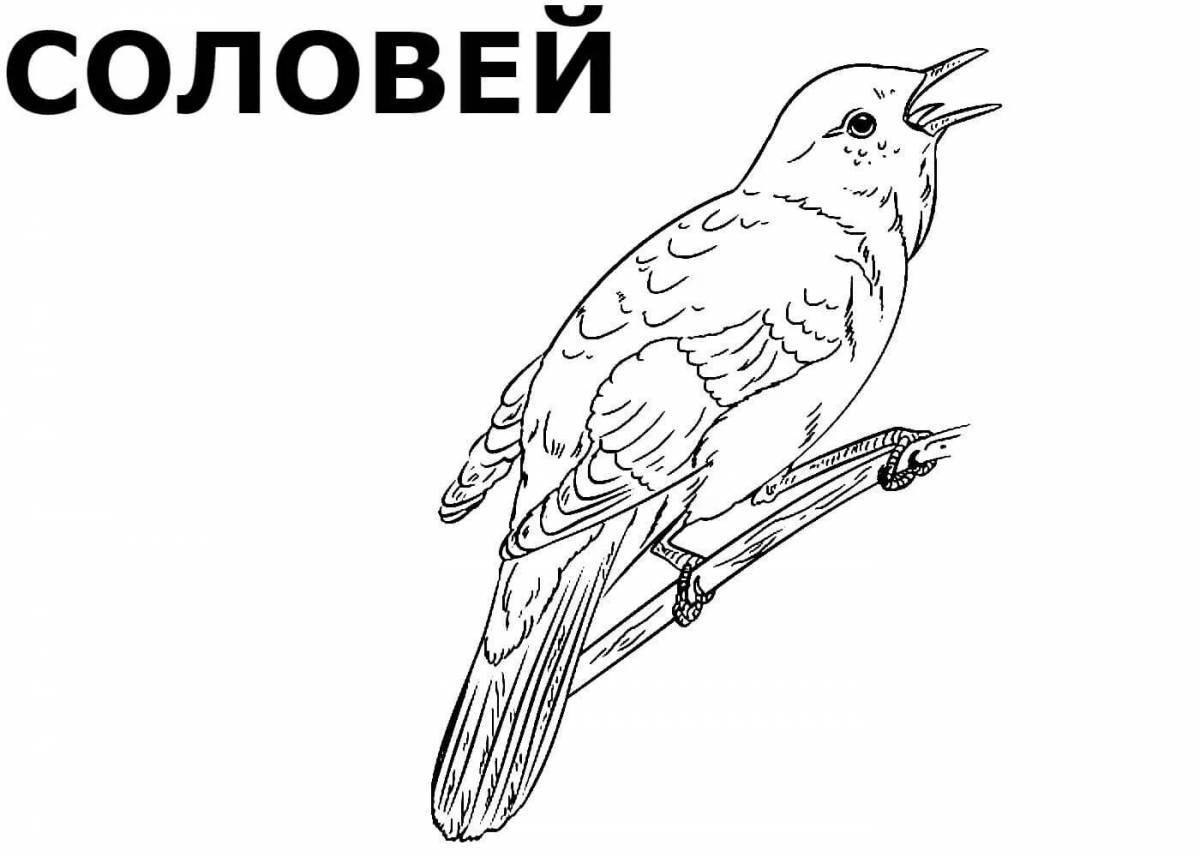 Соловей контурный рисунок (43 фото) » рисунки для срисовки на sauna-chelyabinsk.ru