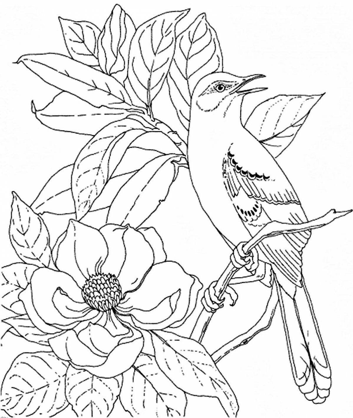 Children's nightingale coloring book