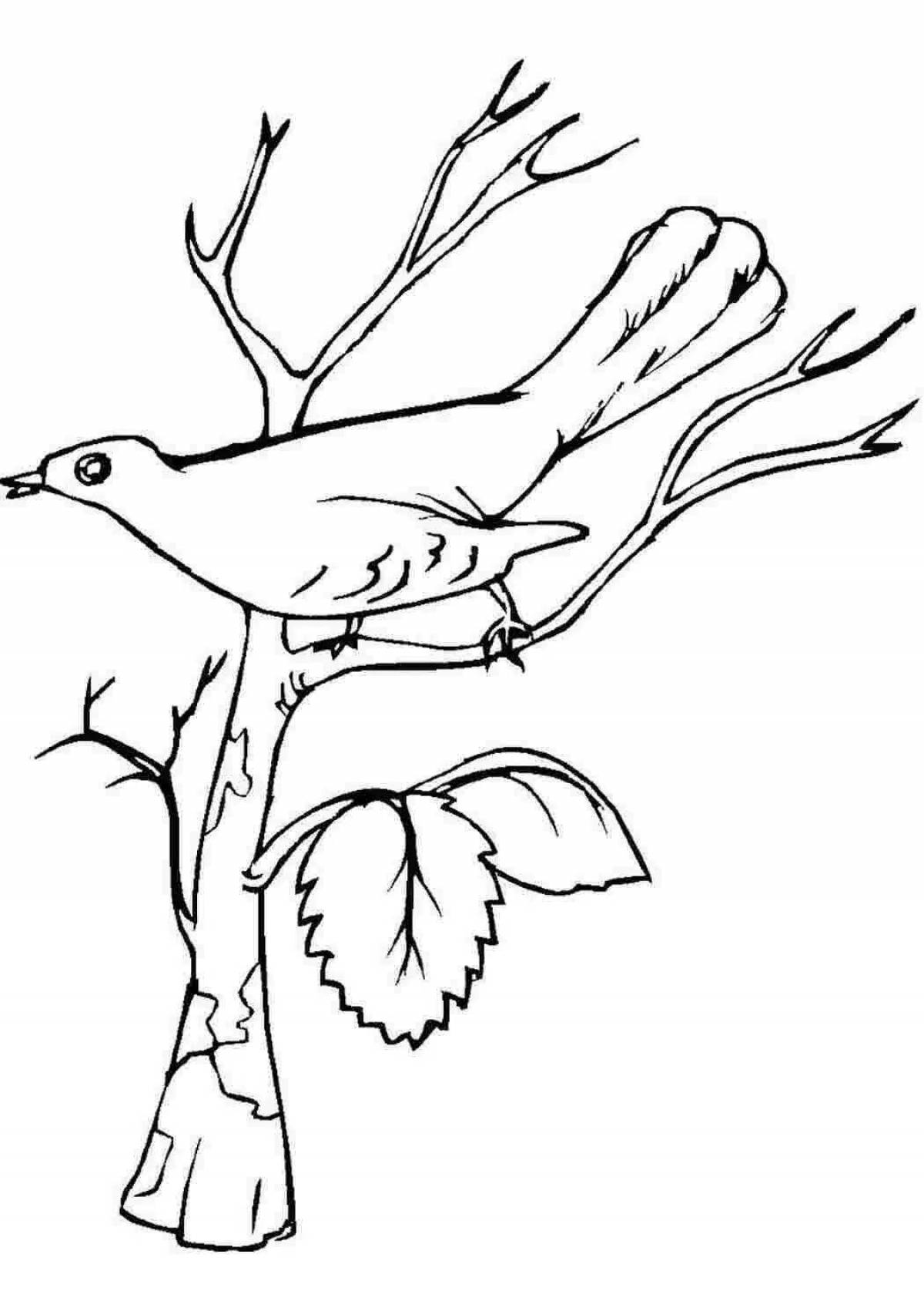 Cute nightingale coloring book for kids