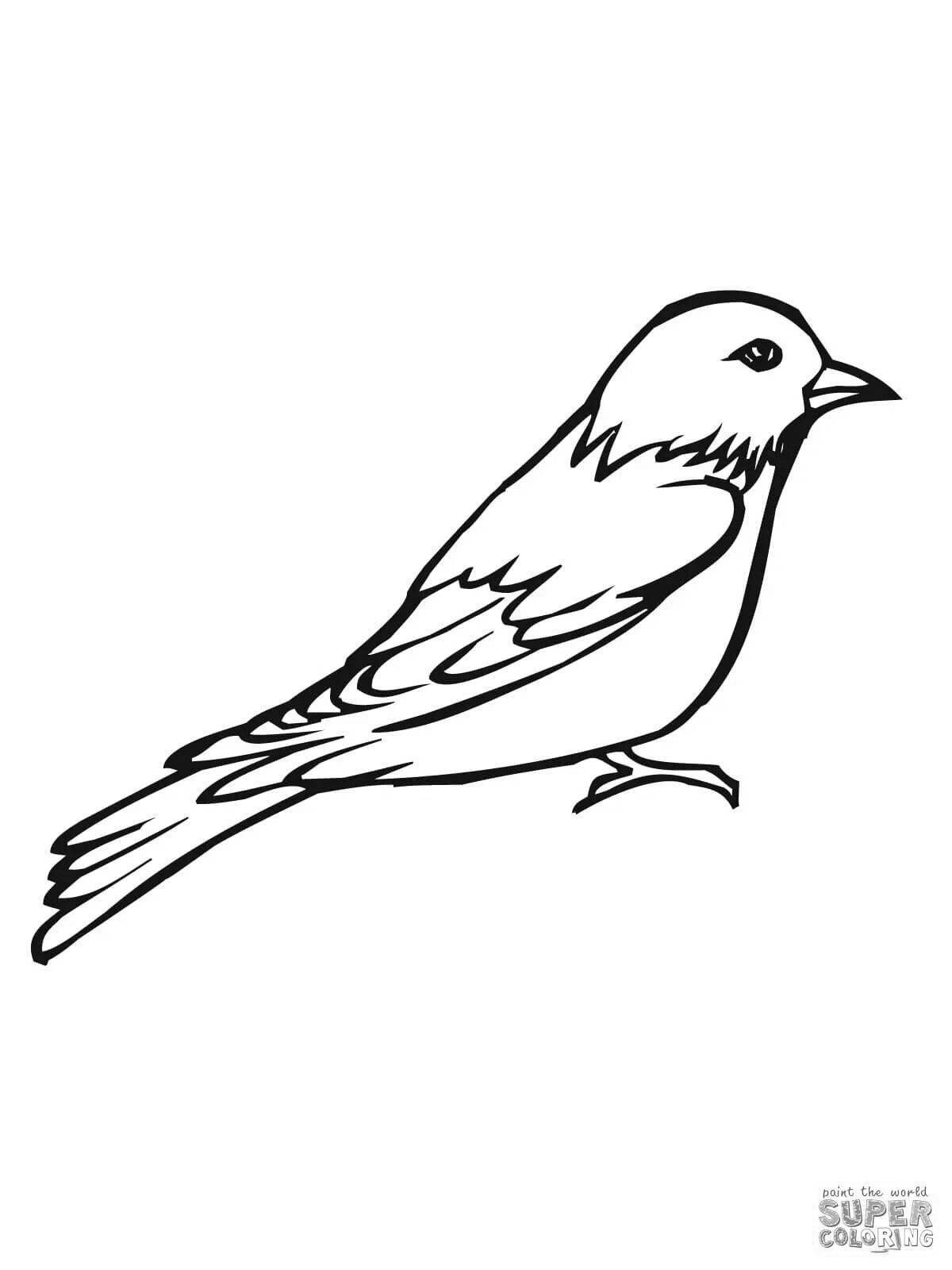 Fancy nightingale coloring book for kids