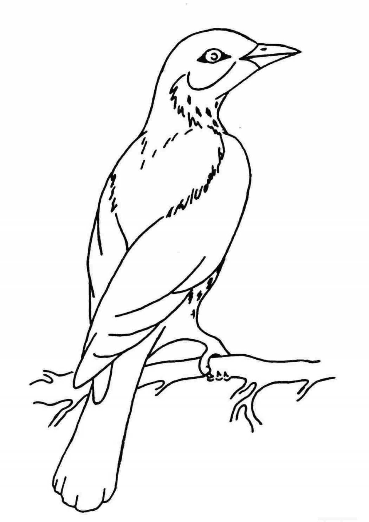 Nightingale for kids #1