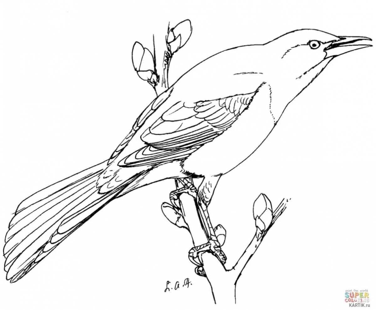 Nightingale for kids #4