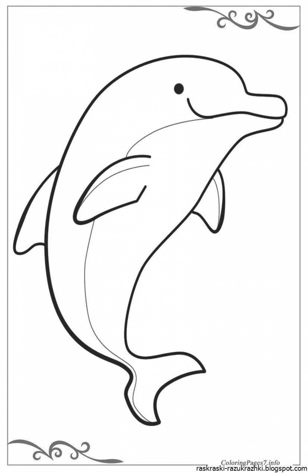 Exquisite dolphin coloring book for kids