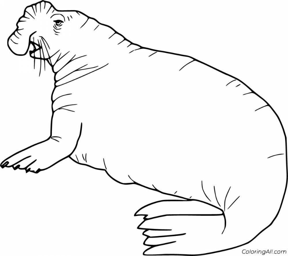 Coloring animals of Antarctica for kids