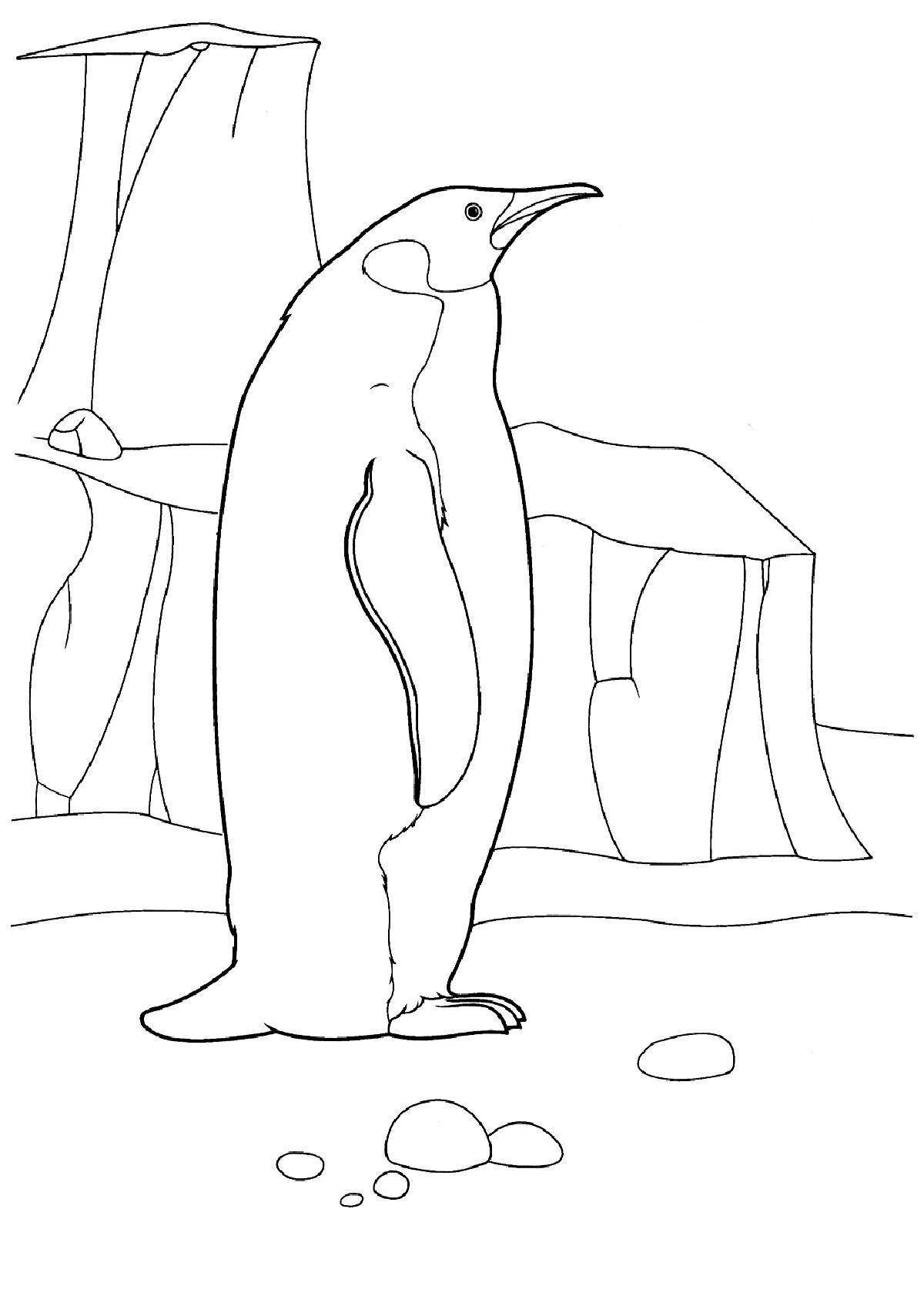 Funny animals of Antarctica coloring pages for kids