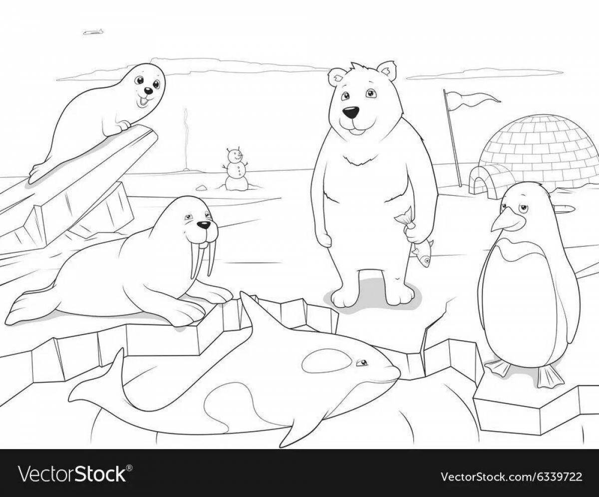 Antarctica playful animals coloring pages for kids