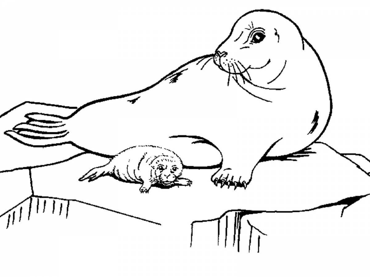 Amazing animals of Antarctica coloring pages for kids