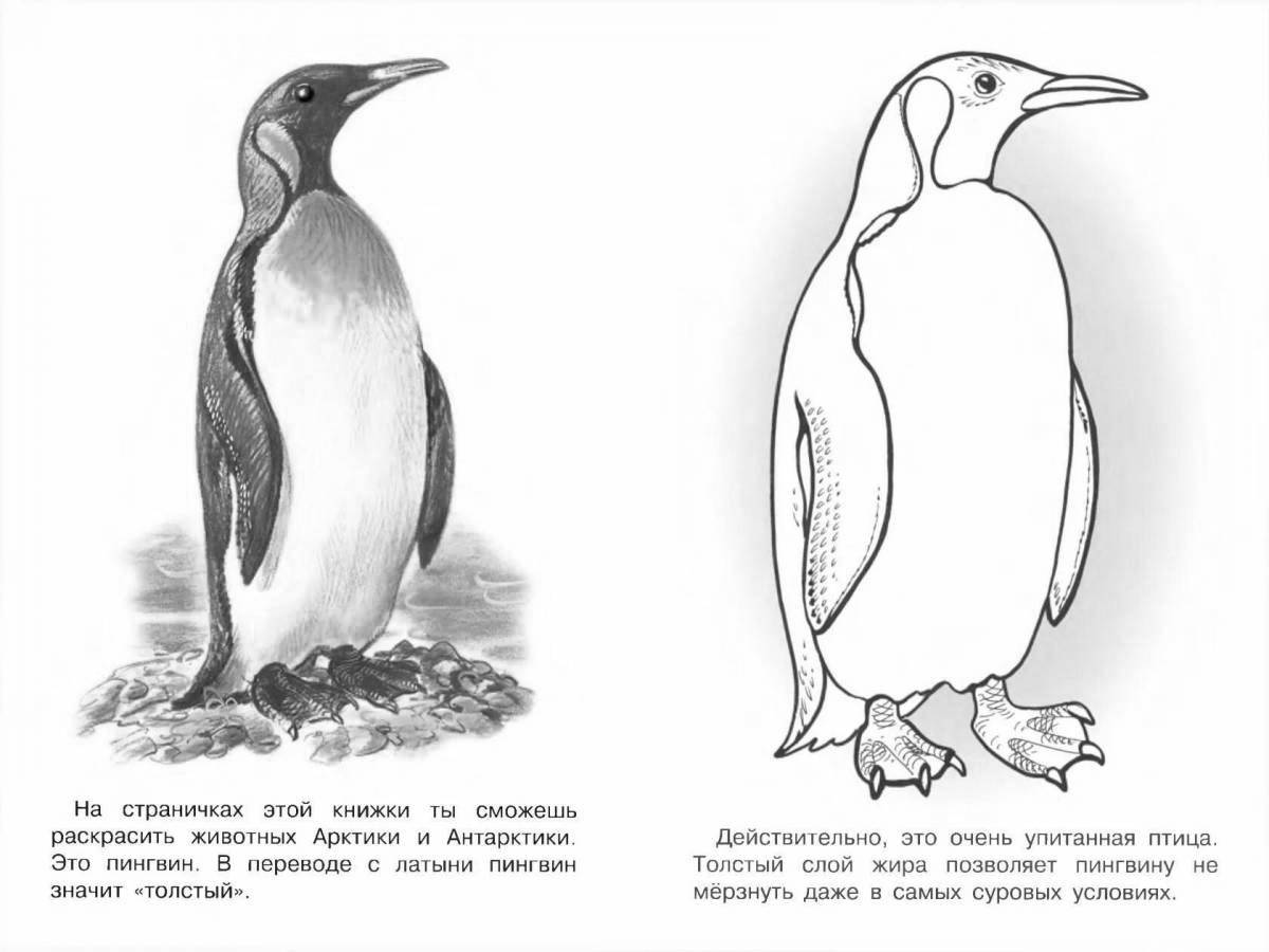 Exquisite coloring pages of antarctica animals for kids