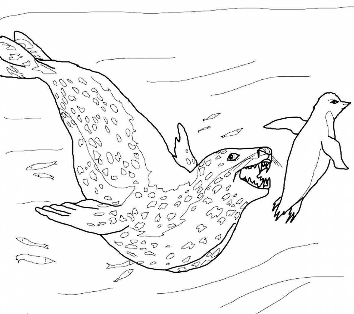 Intriguing animals of Antarctica coloring pages for kids