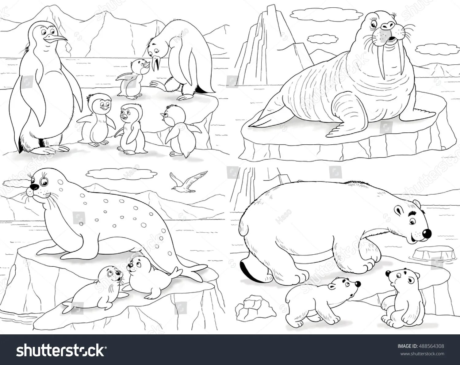Antarctic animals for kids #9