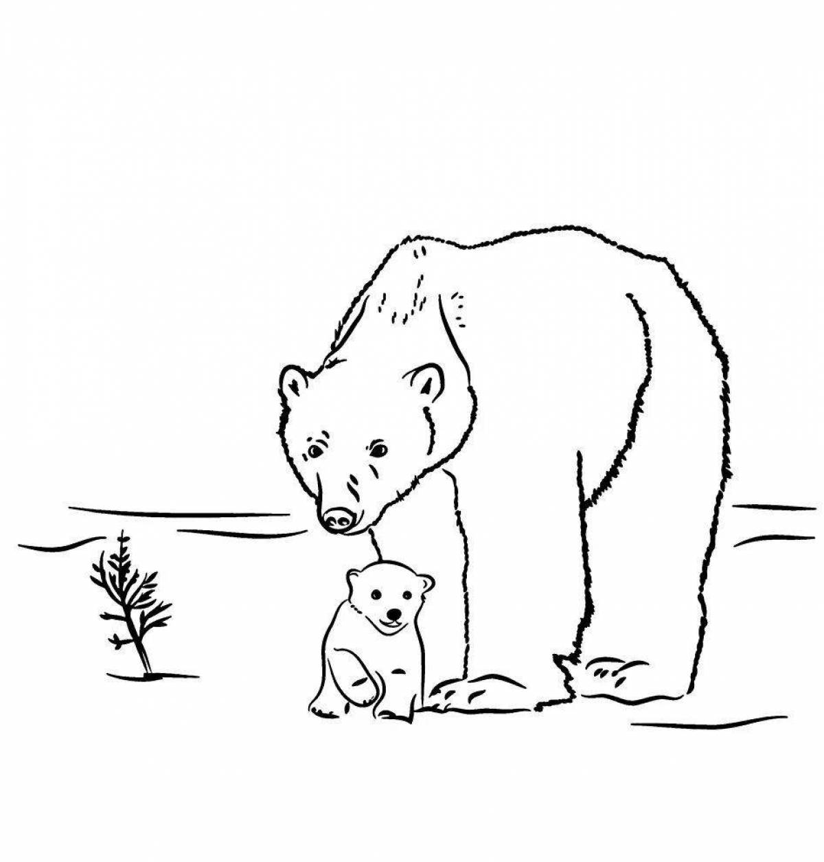 Очаровательный белый медведь раскраска