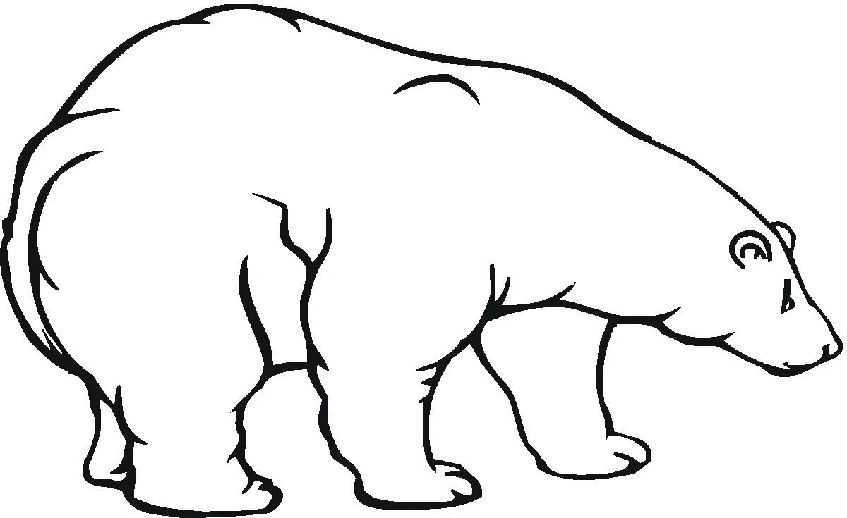 Coloring book elegant polar bear