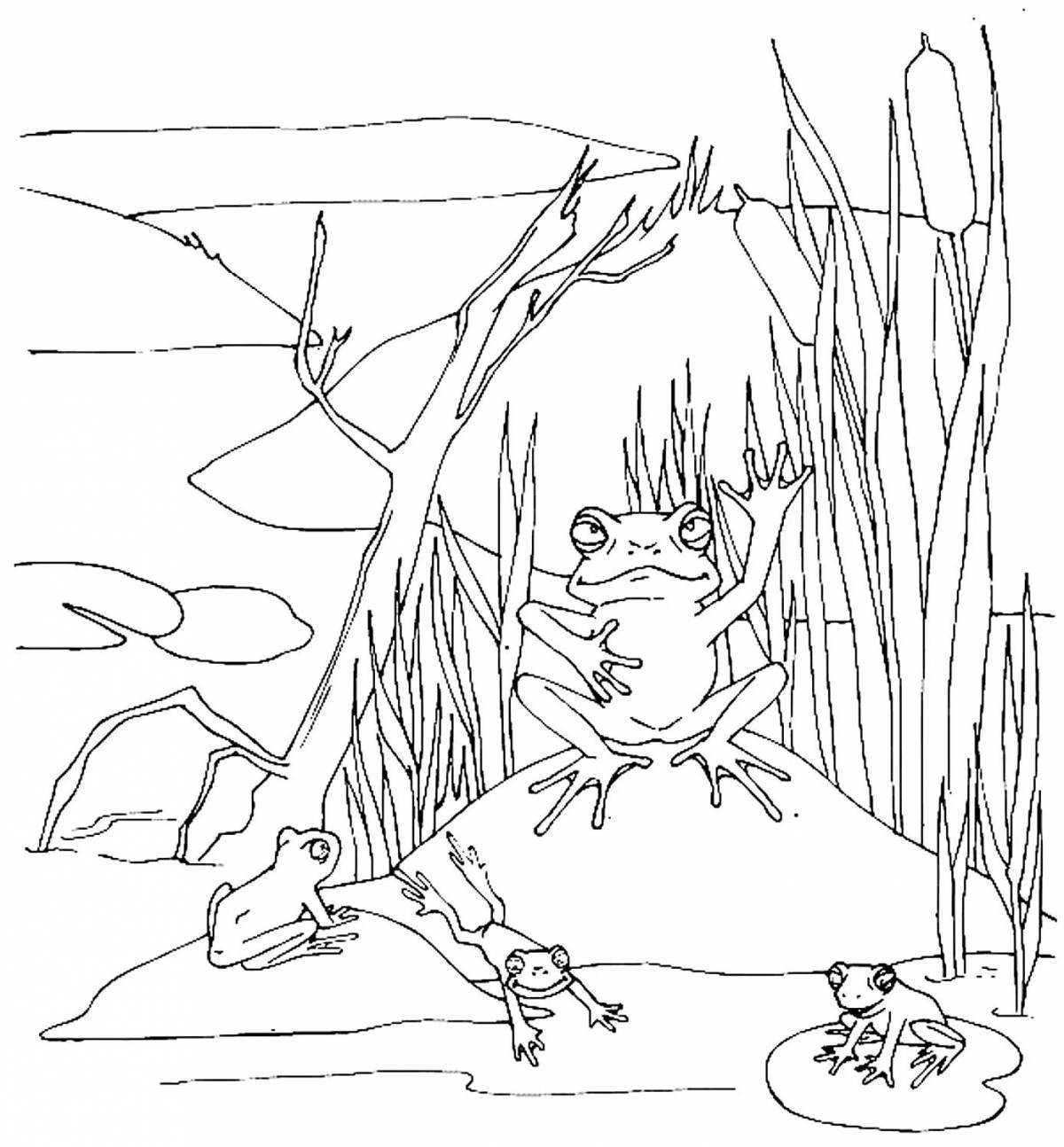 Раскраска по сказке Царевна лягушка