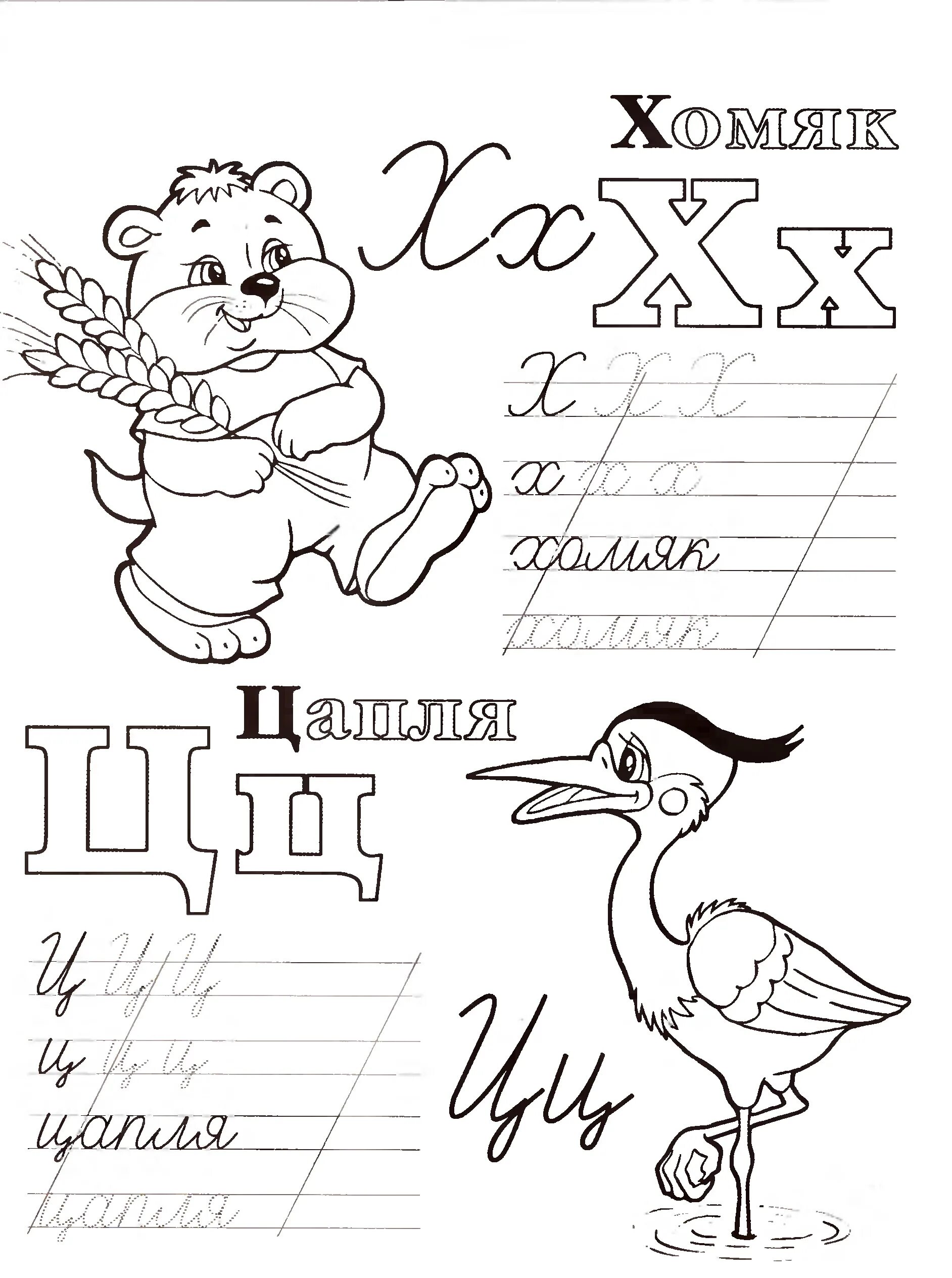 Letter x for preschoolers #15