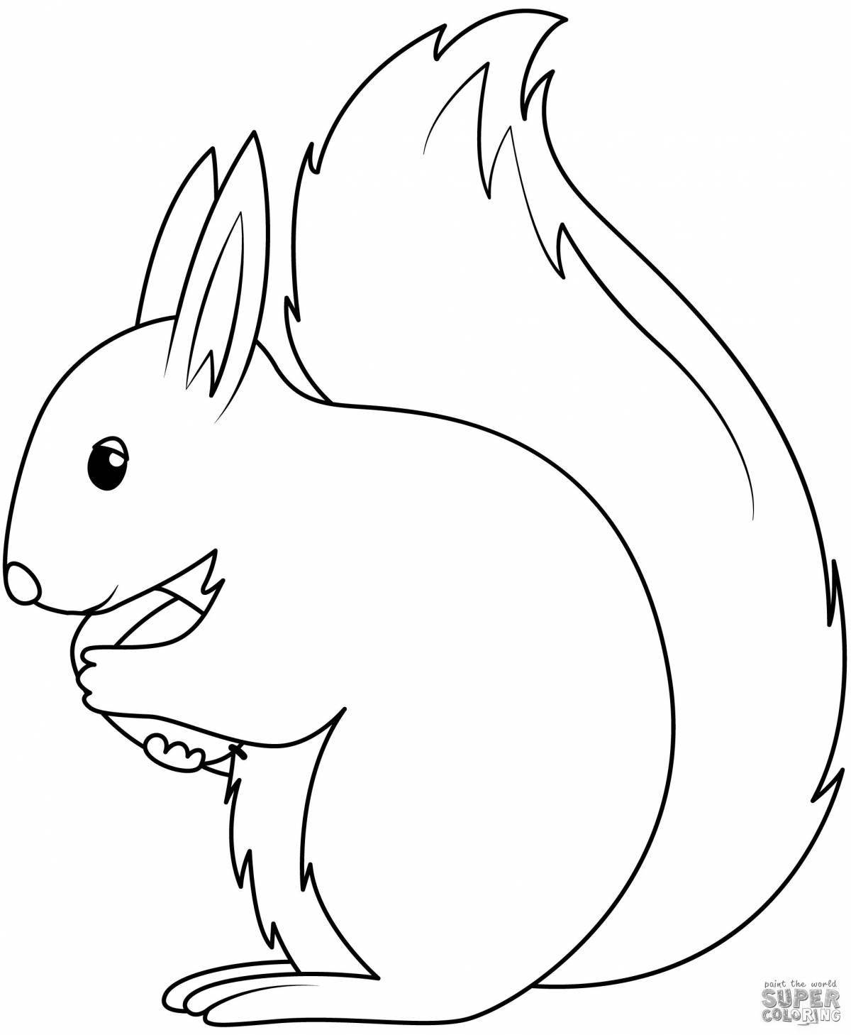 Cute squirrel coloring book for 2-3 year olds