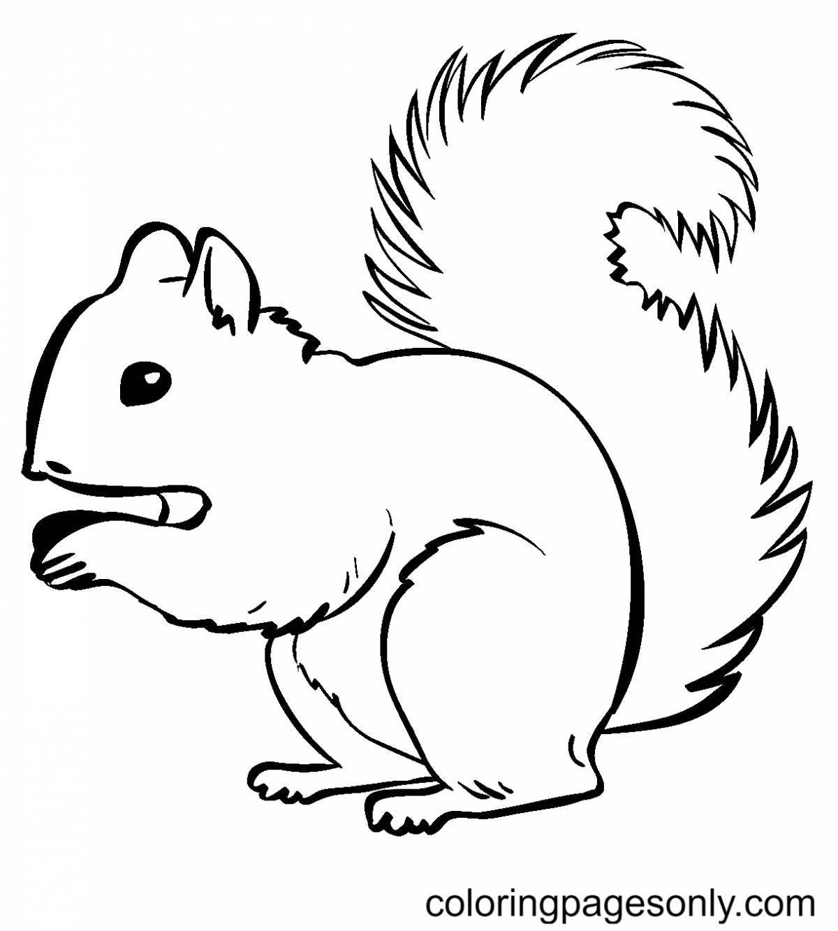 Squirrel live coloring for children 2-3 years old