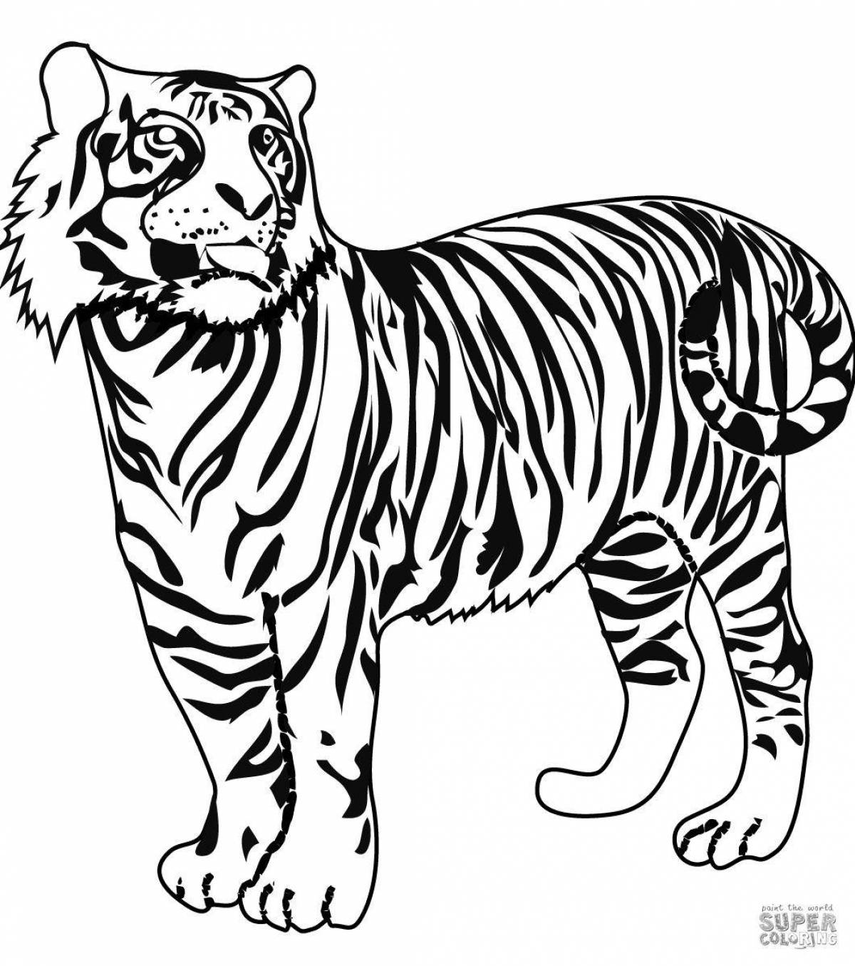 Раскраска жирный тигр для детей 3-4 лет