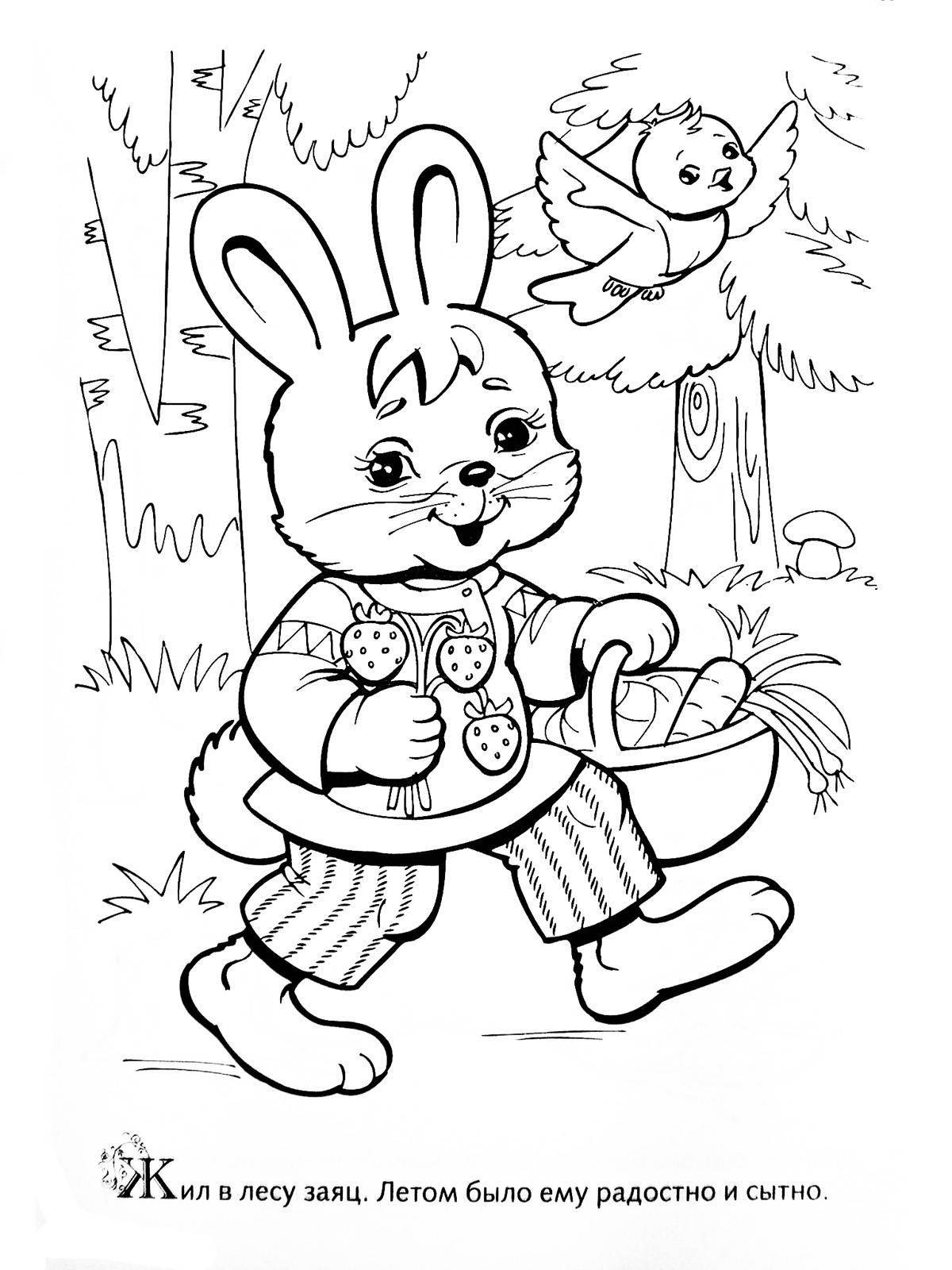 Fancy rabbit coloring book for 2-3 year olds