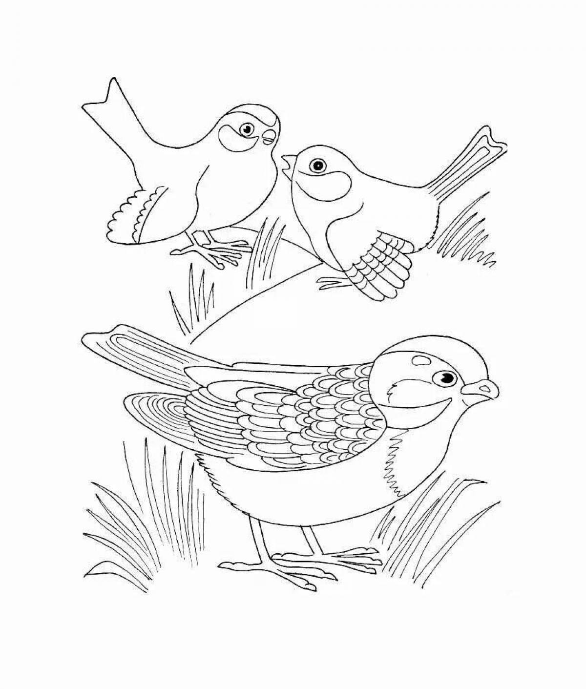 Adorable sparrow coloring book for preschoolers