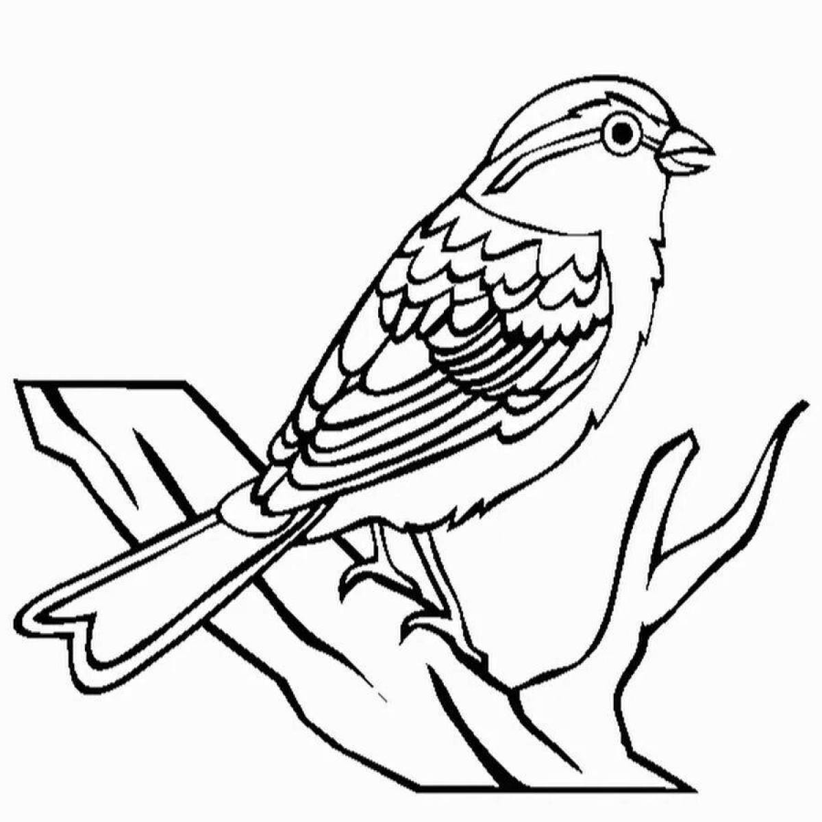 Coloring book excited sparrow for 4-5 year olds