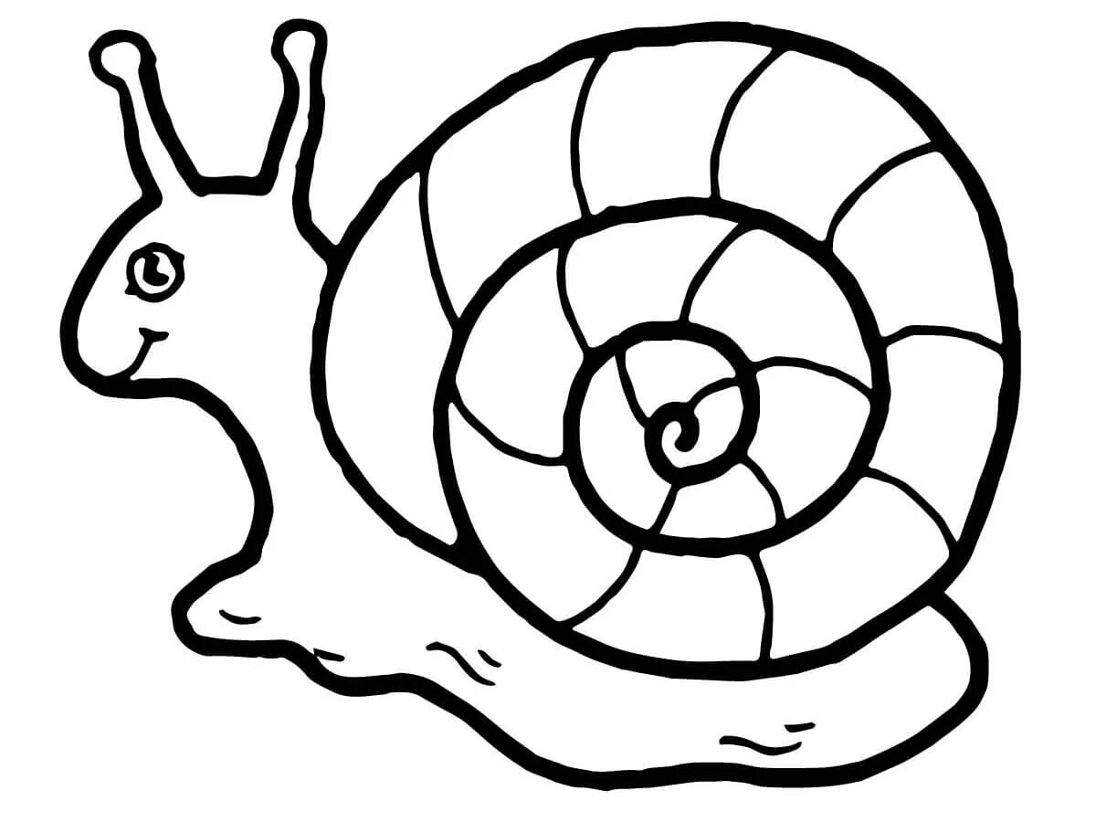 A fun snail coloring book for 3-4 year olds