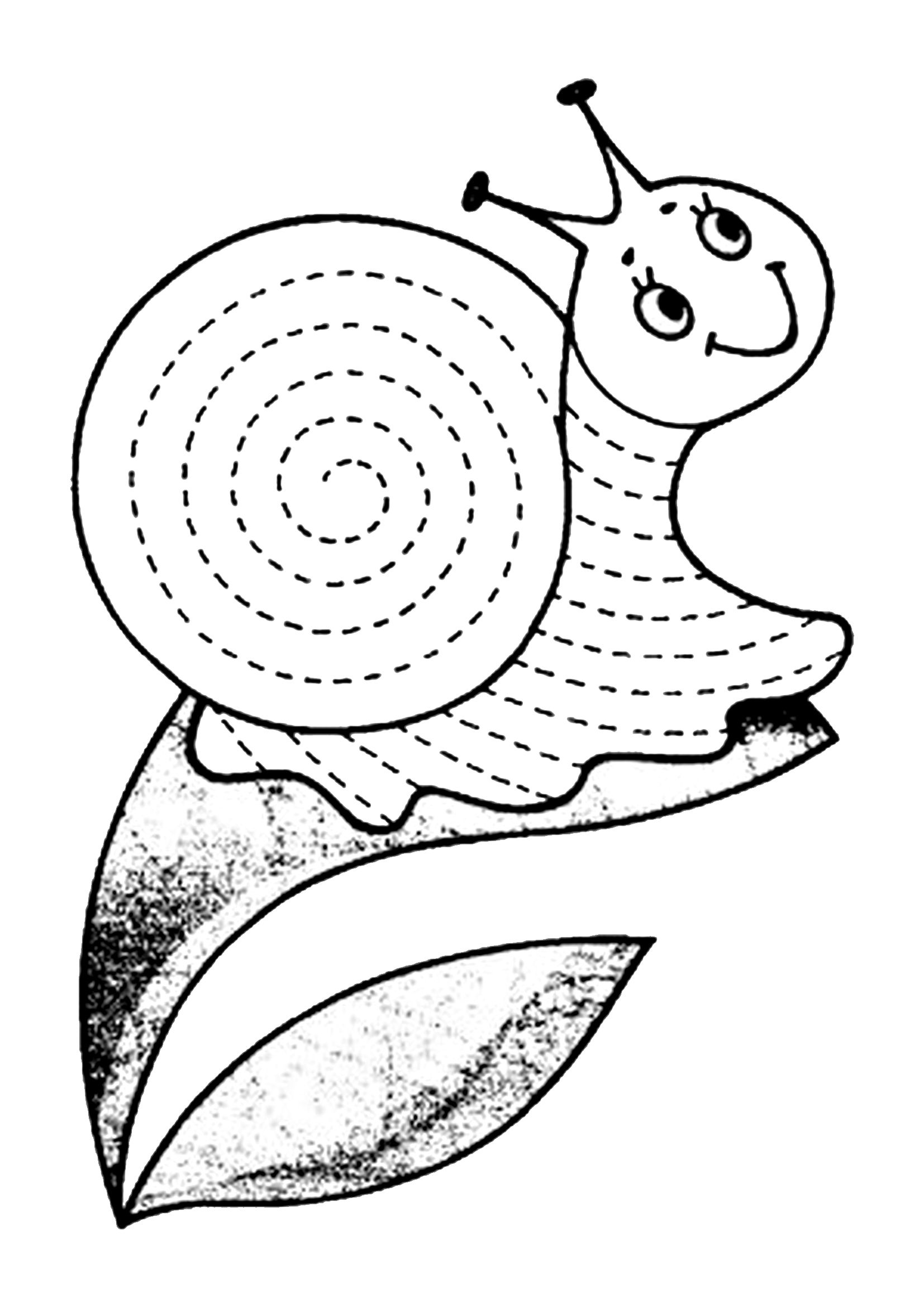 Sweet snail coloring book for 3-4 year olds