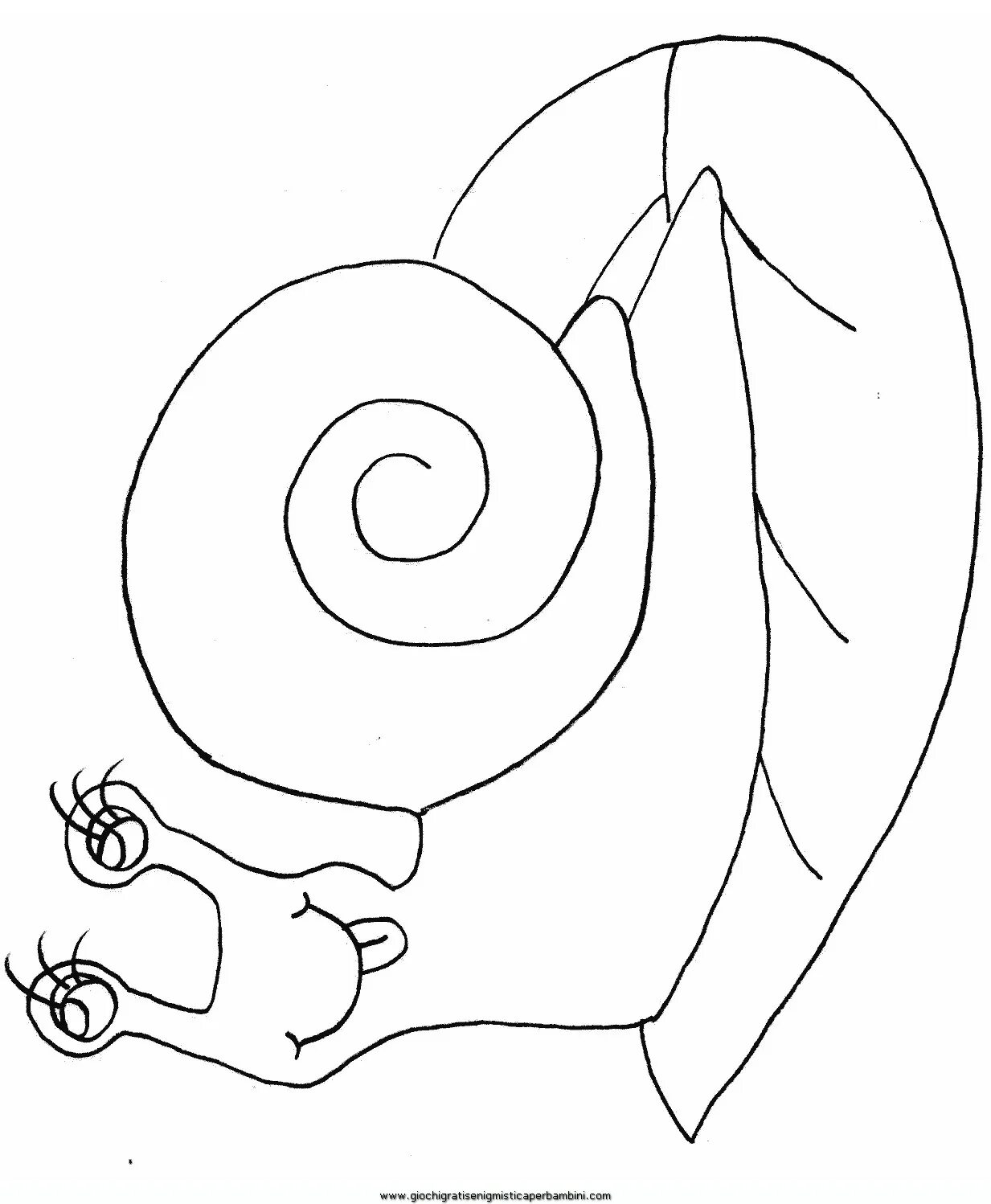 Color-frenzy snail coloring book for children 3-4 years old