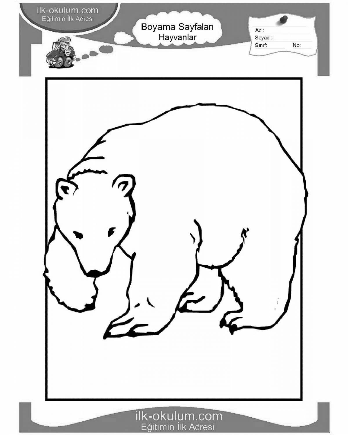 Красочная раскраска «белый медведь» для детей 5-6 лет