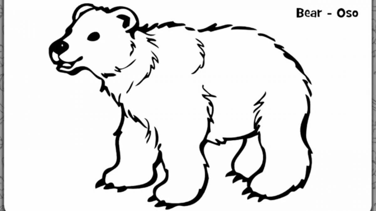 Glorious polar bear coloring for children 5-6 years old