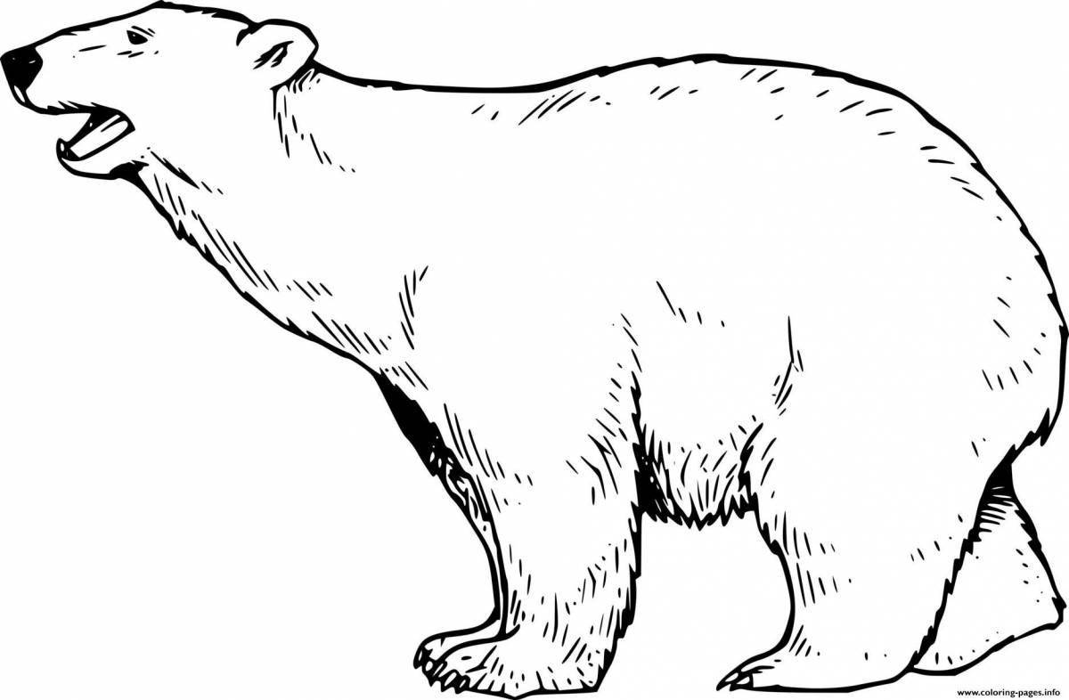 Сказочная раскраска «белый медведь» для детей 5-6 лет
