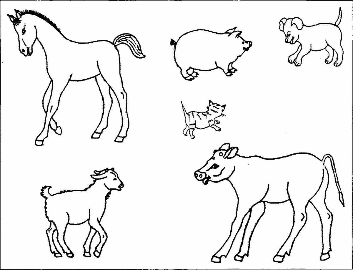 Cute pets coloring page